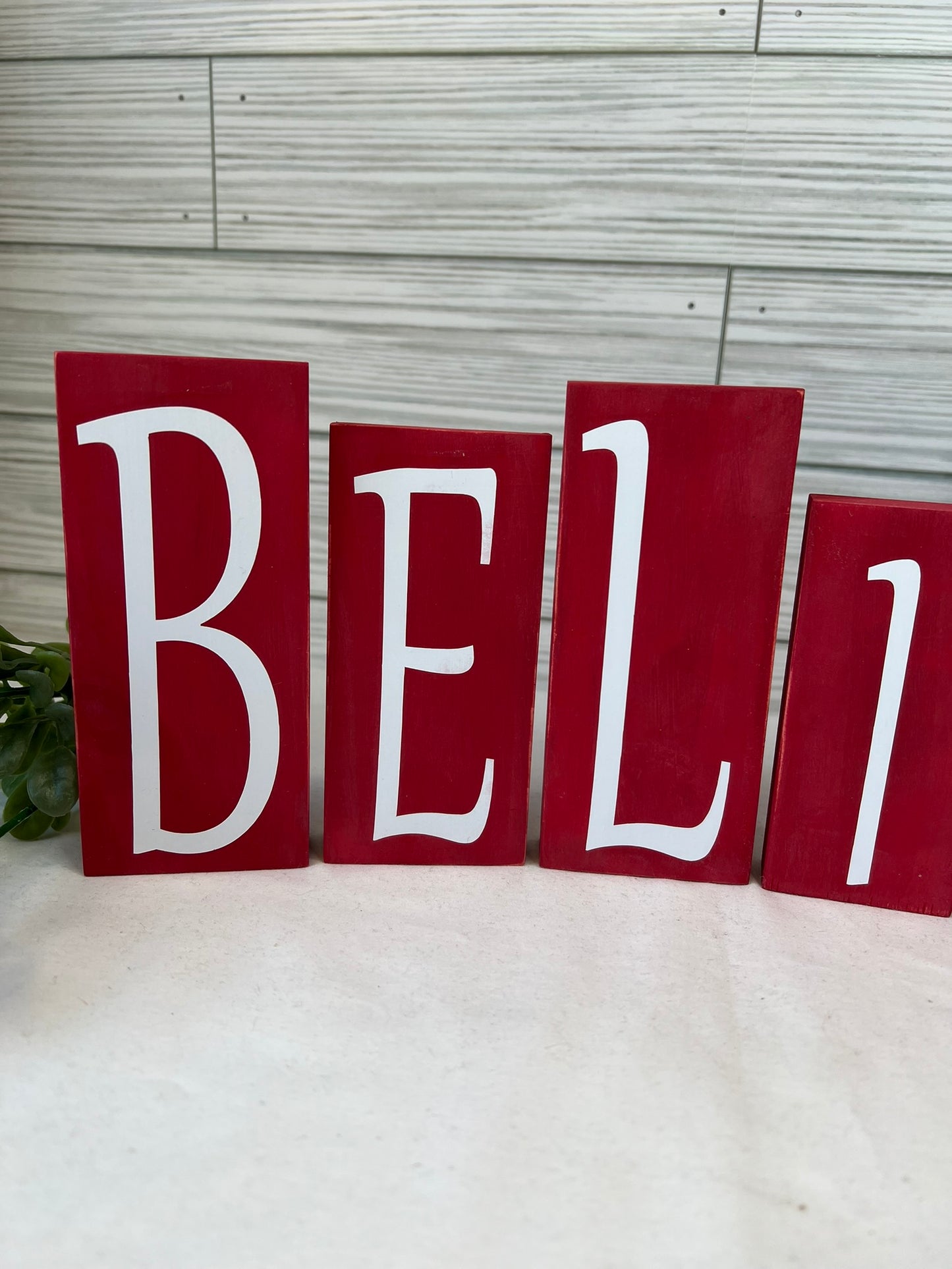 BELIEVE Blocks