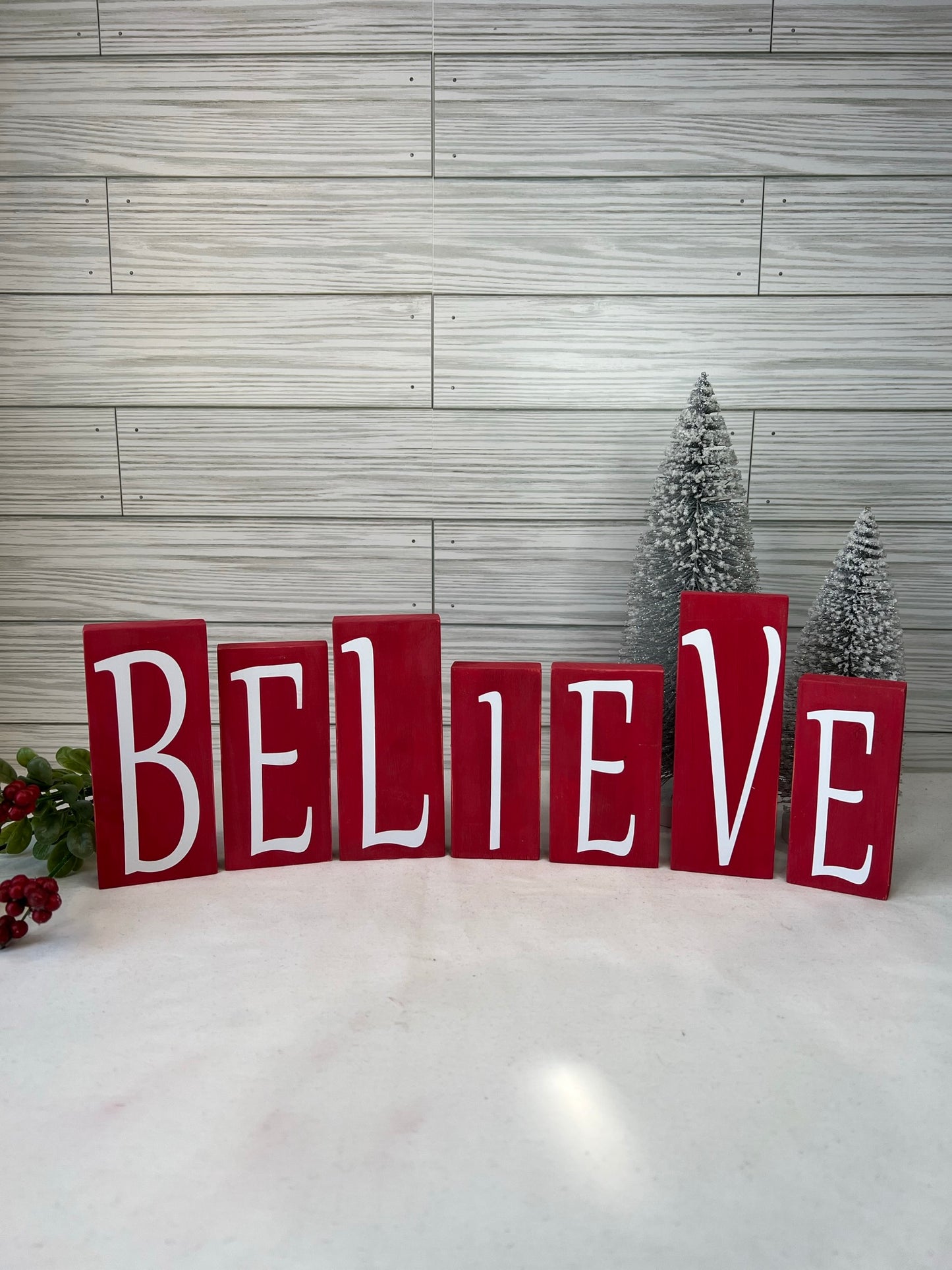 BELIEVE Blocks