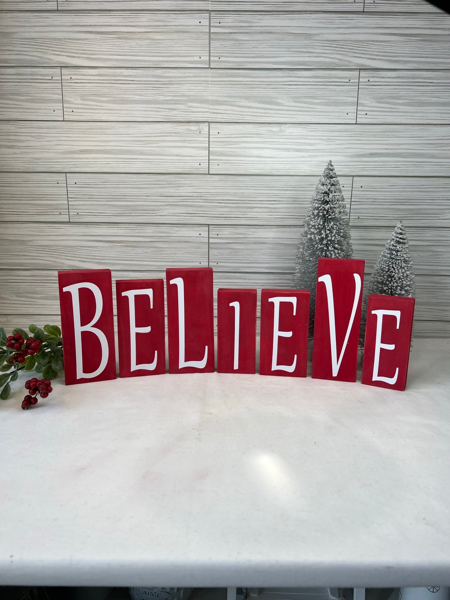 BELIEVE Blocks