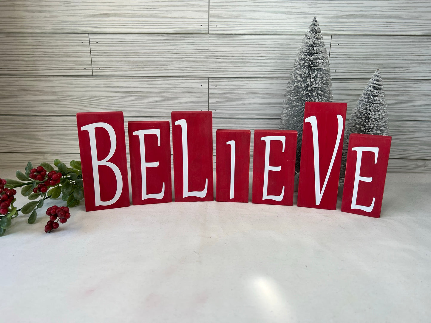 BELIEVE Blocks