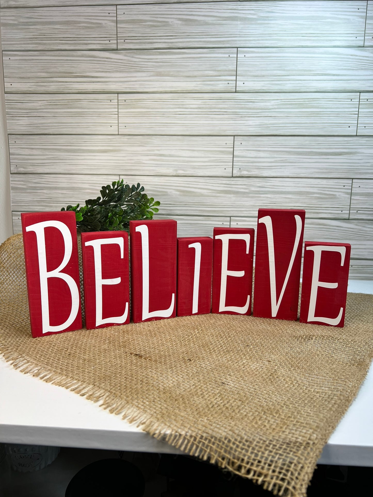 BELIEVE Blocks