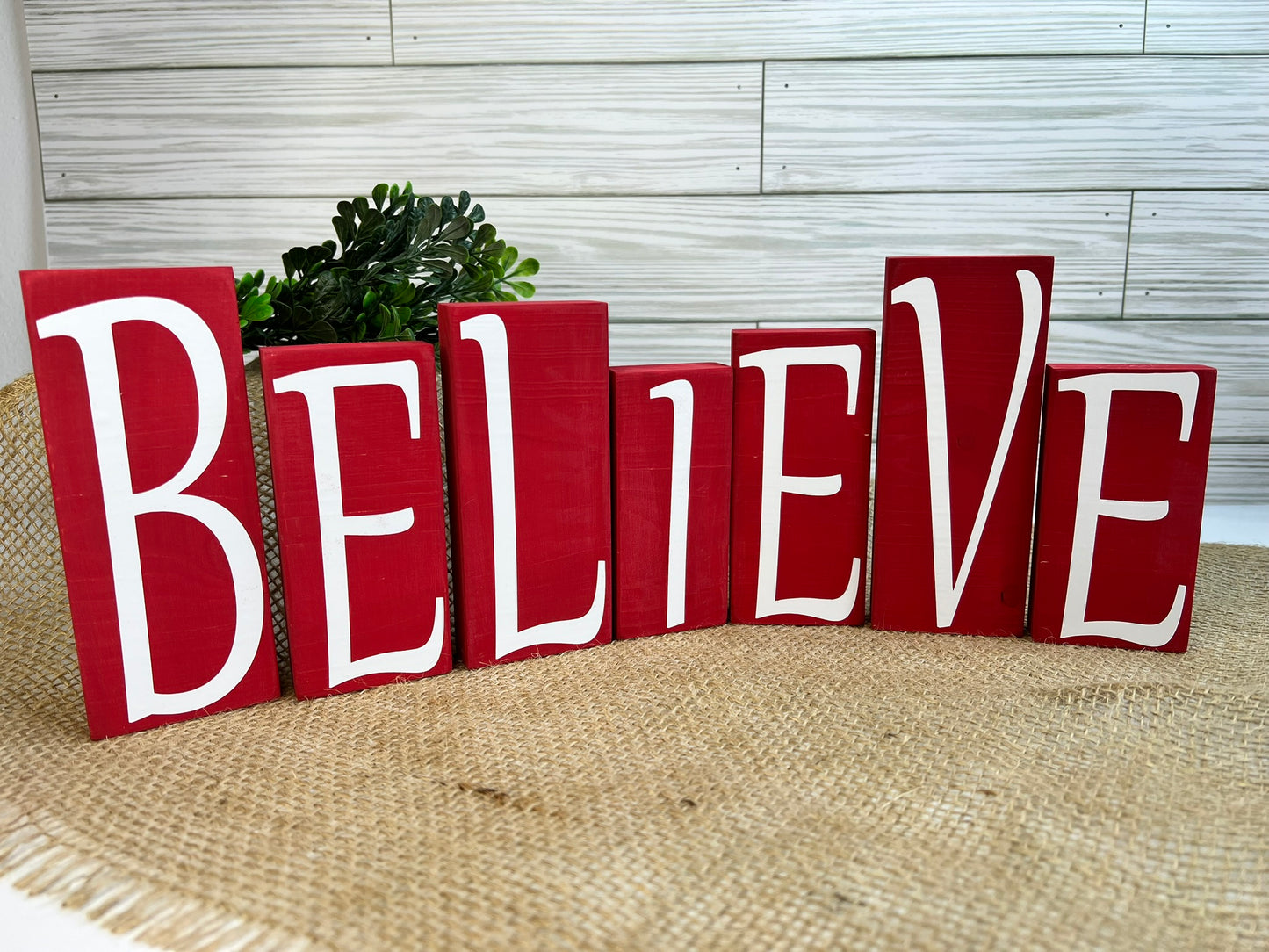 BELIEVE Blocks