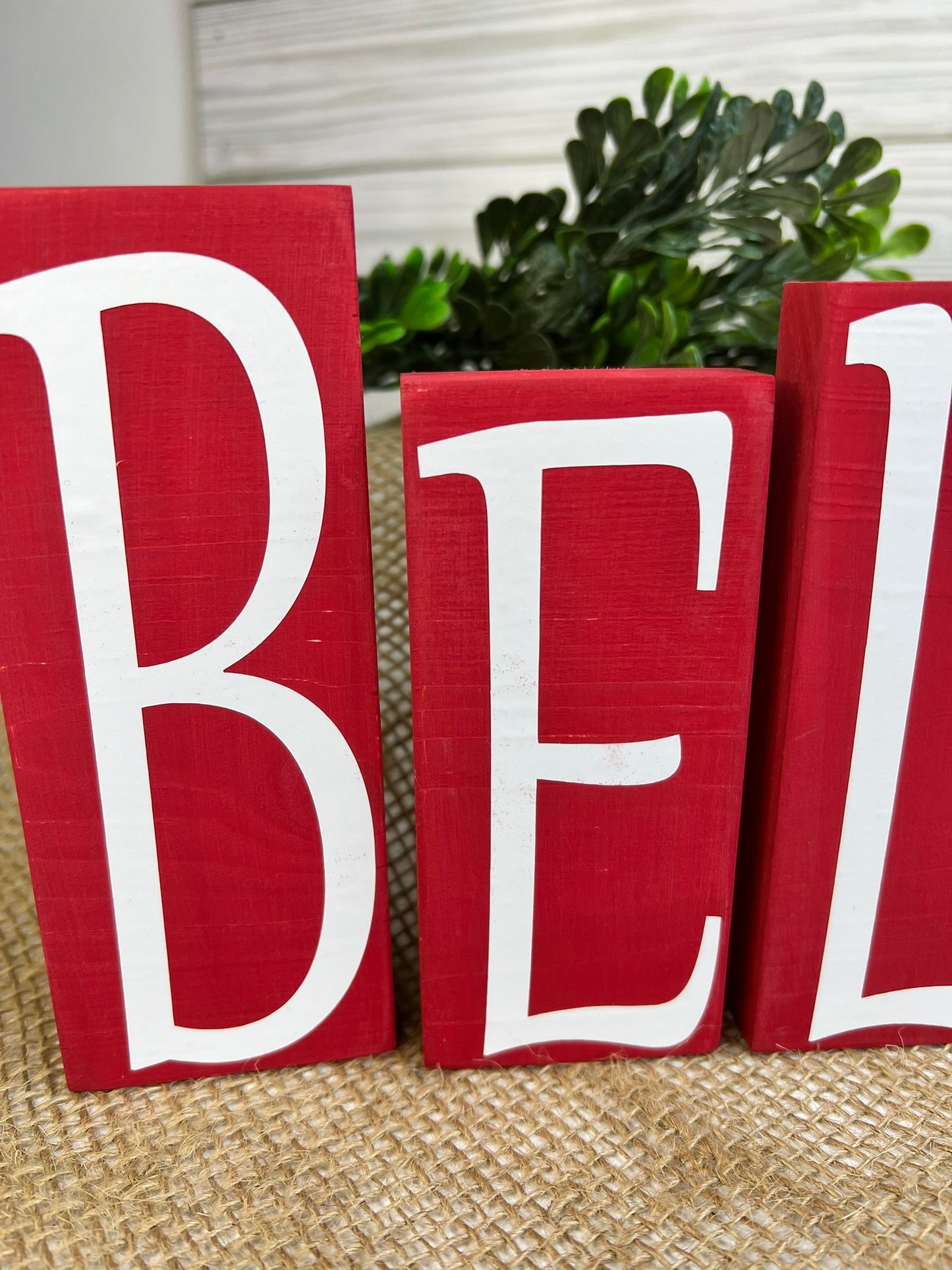 BELIEVE Blocks