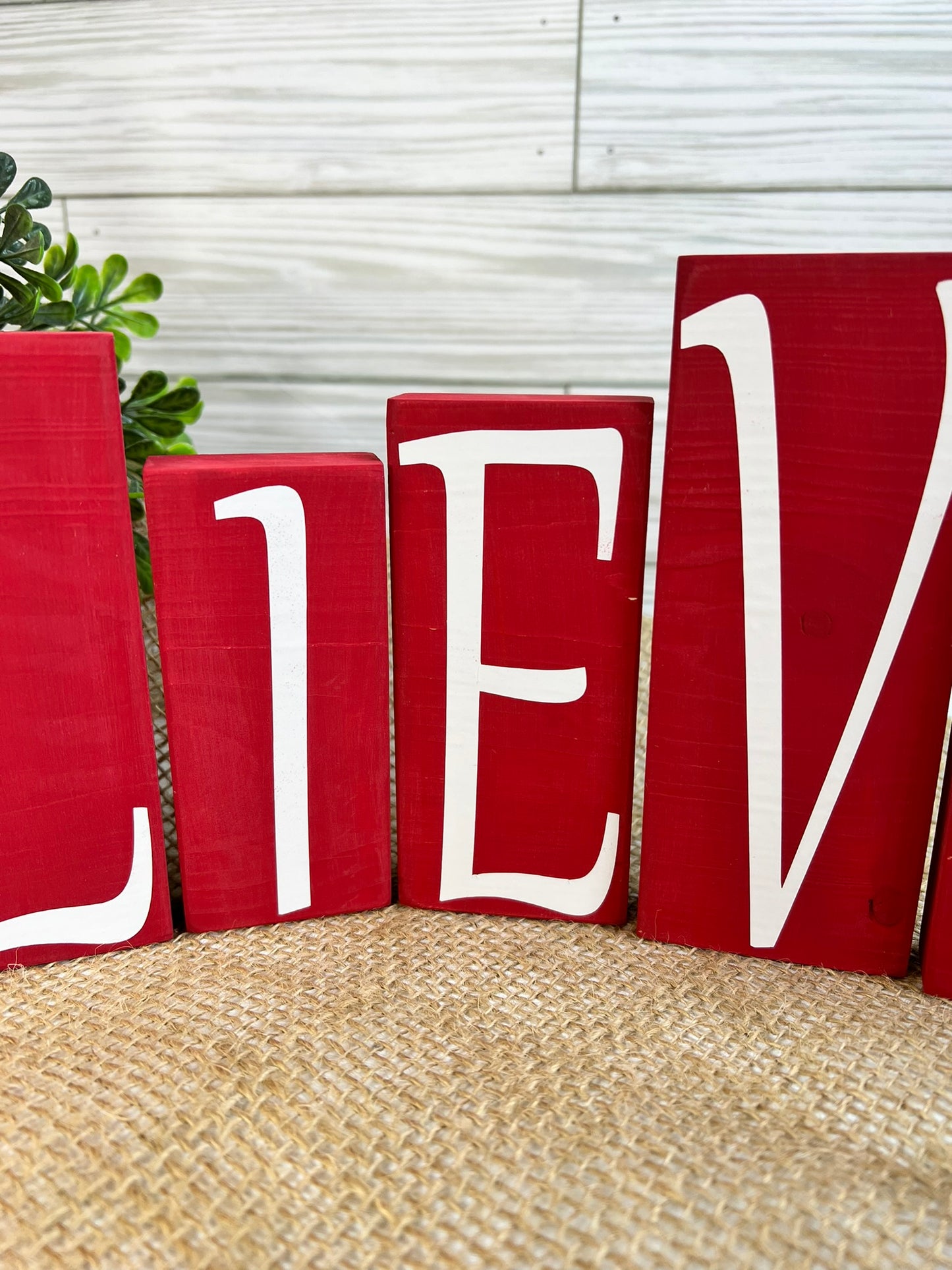 BELIEVE Blocks