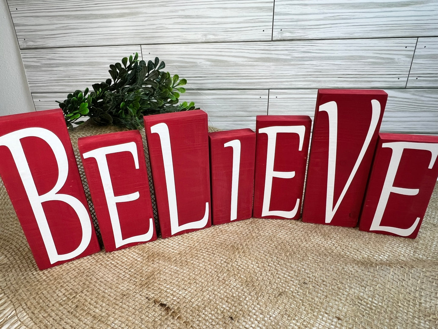 BELIEVE Blocks