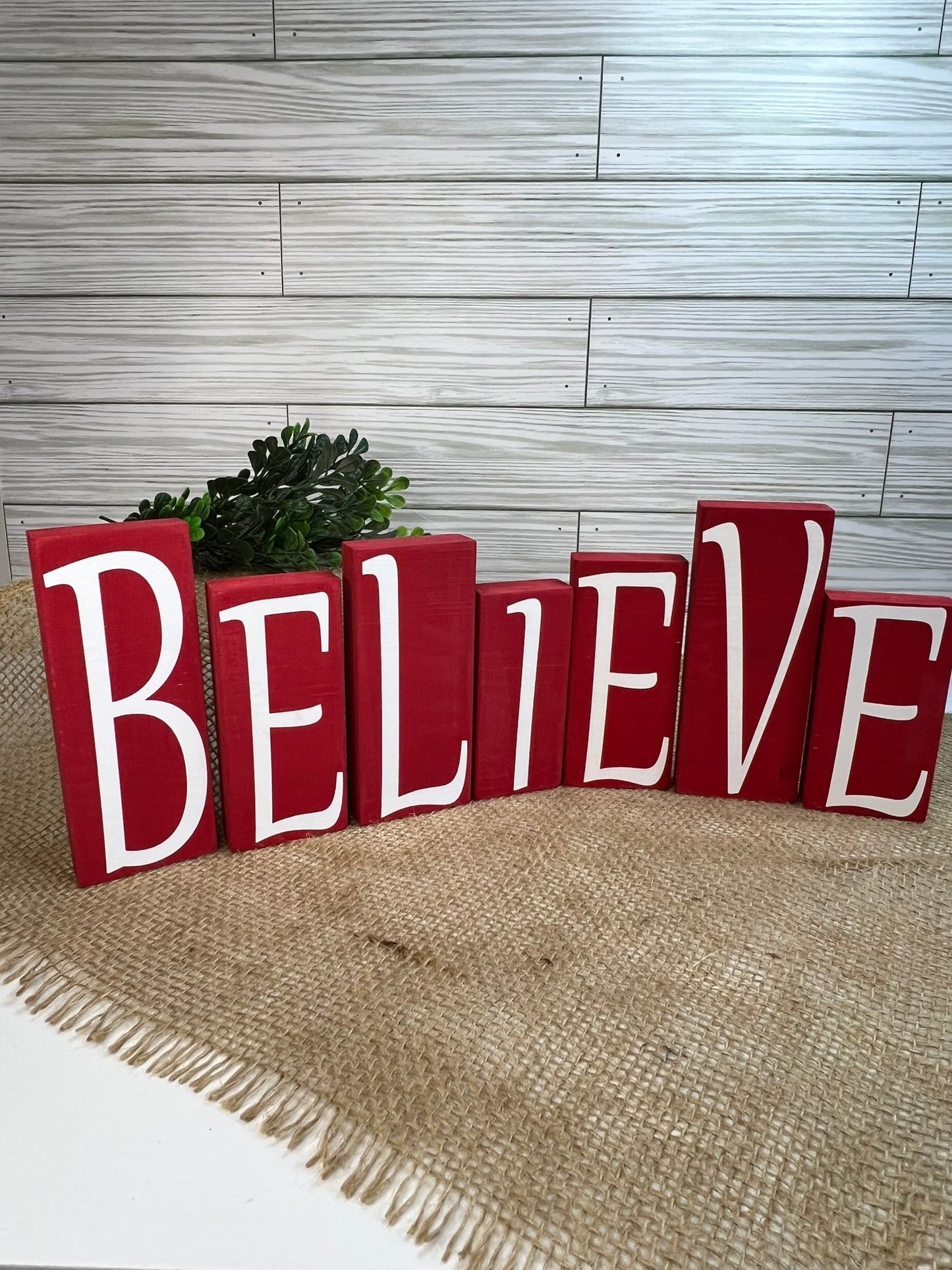 BELIEVE Blocks