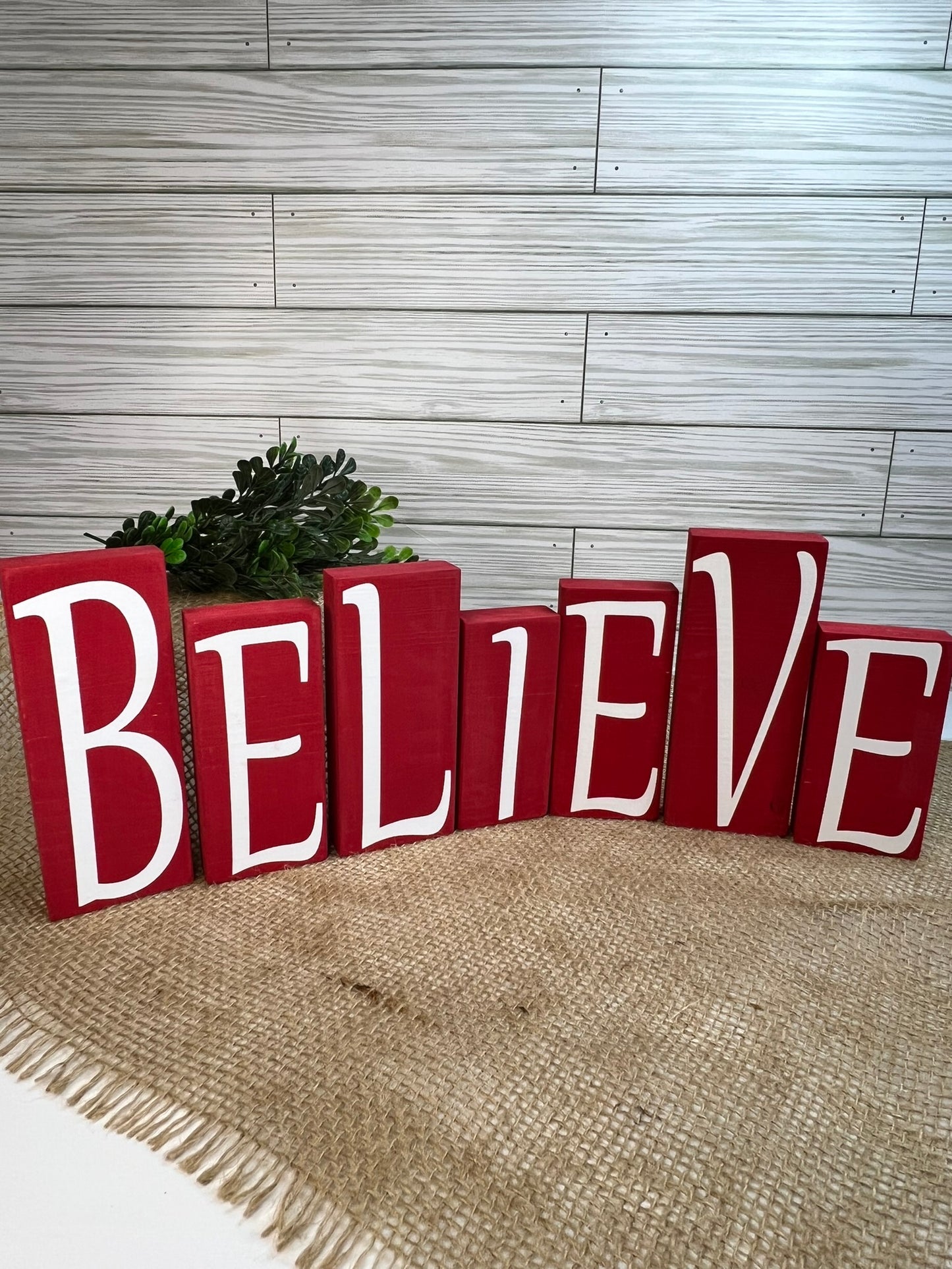 BELIEVE Blocks