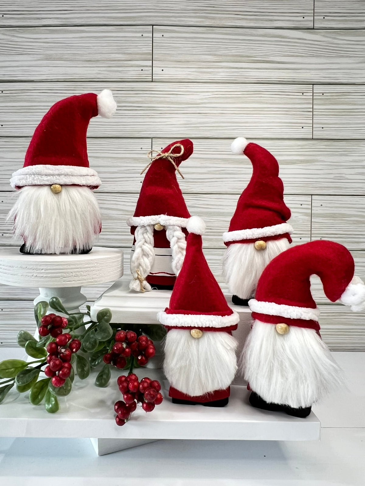 Christmas Gnome Set