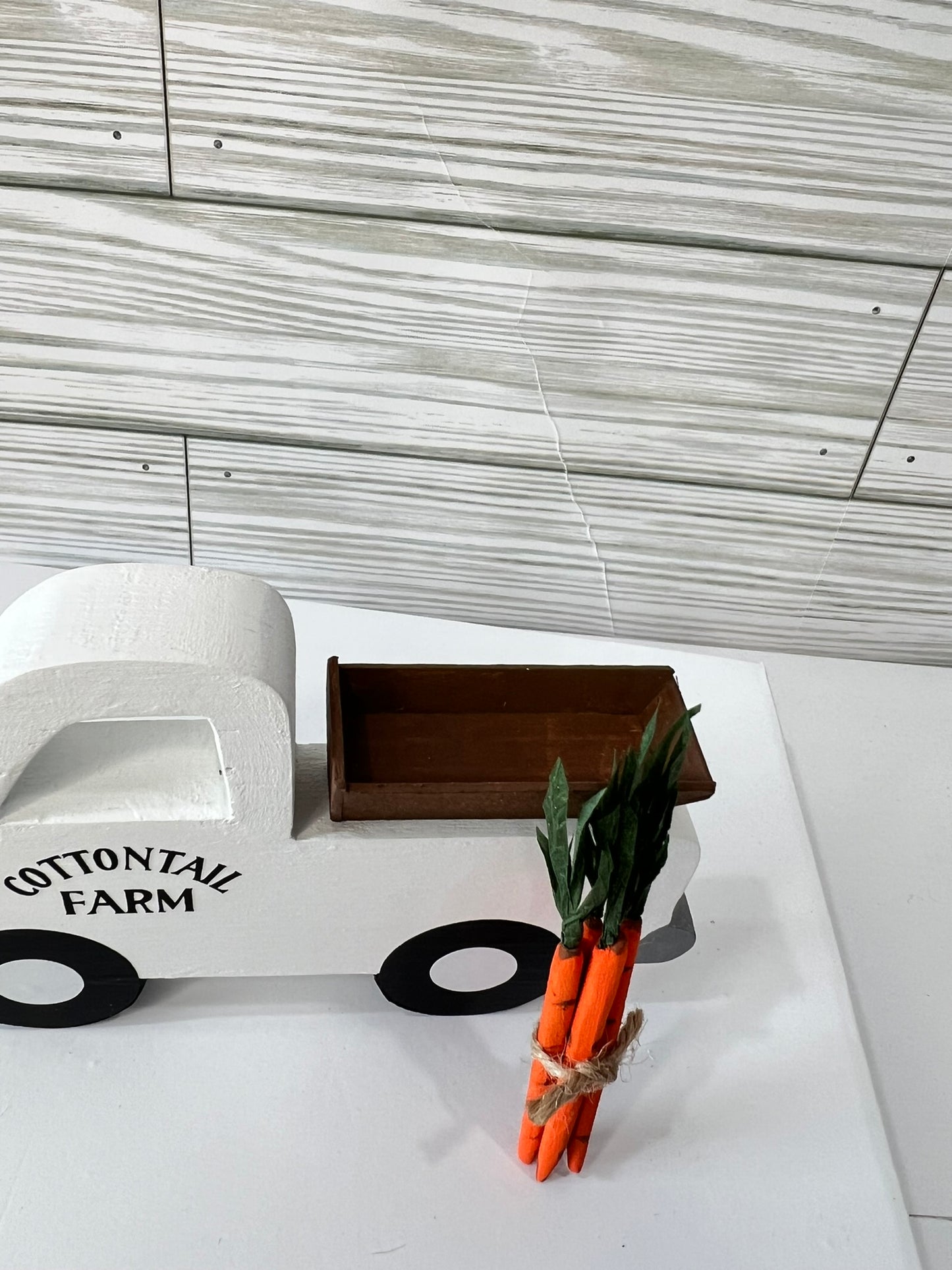 Mini Carrot Farm Truck