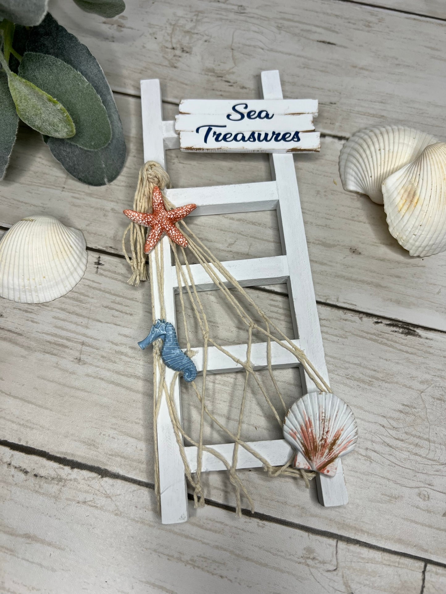 Sea Treasures Ladder