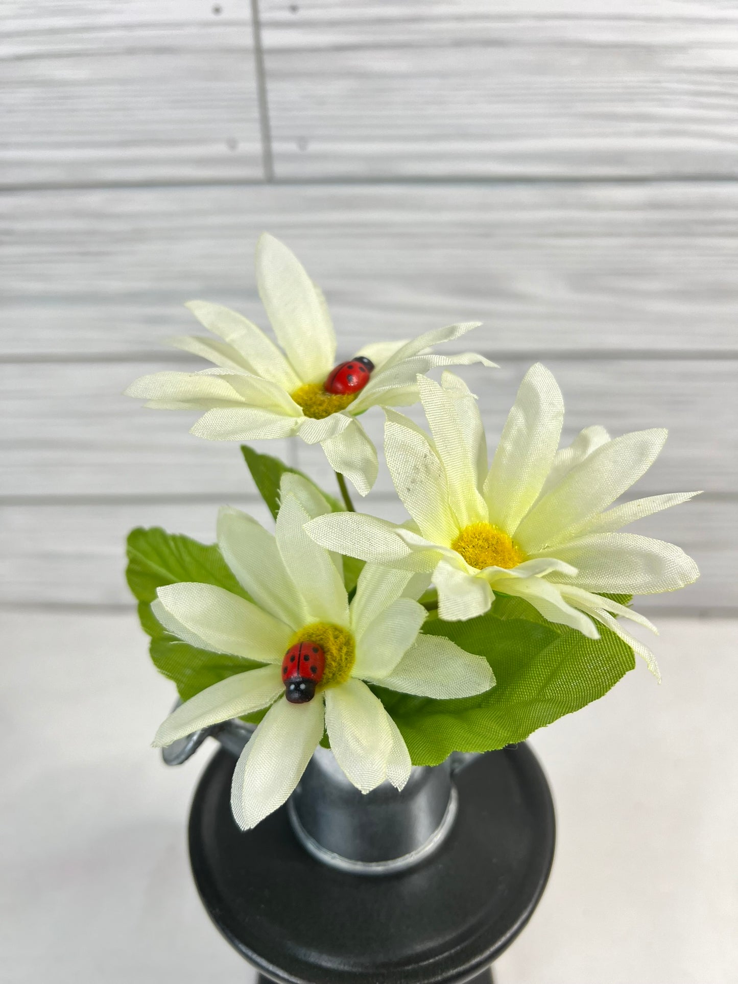 Ladybug and Daisy Mini Metal Watering Can